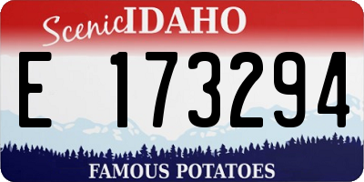 ID license plate E173294