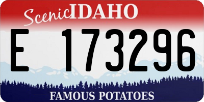 ID license plate E173296