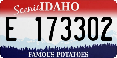 ID license plate E173302