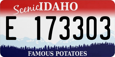 ID license plate E173303