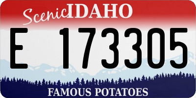 ID license plate E173305