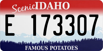 ID license plate E173307