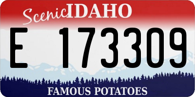 ID license plate E173309