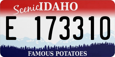 ID license plate E173310