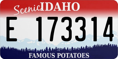 ID license plate E173314