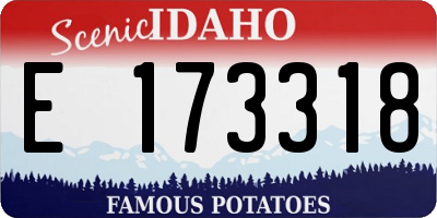 ID license plate E173318