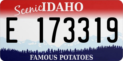ID license plate E173319