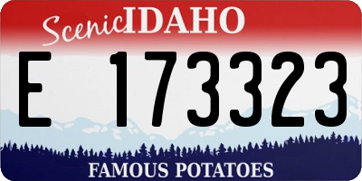 ID license plate E173323