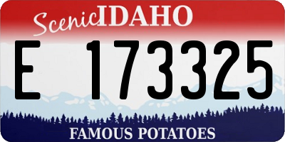 ID license plate E173325