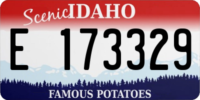 ID license plate E173329
