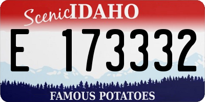 ID license plate E173332