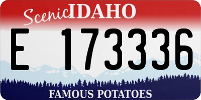 ID license plate E173336