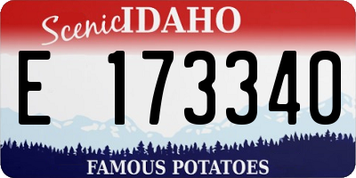 ID license plate E173340