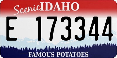 ID license plate E173344