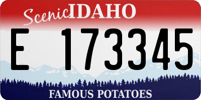 ID license plate E173345