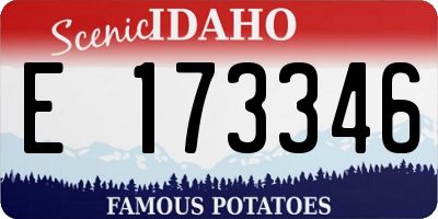 ID license plate E173346