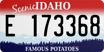 ID license plate E173368
