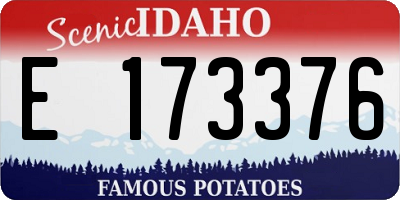 ID license plate E173376