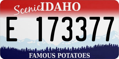 ID license plate E173377