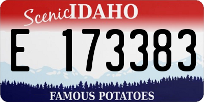 ID license plate E173383