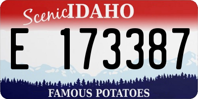 ID license plate E173387