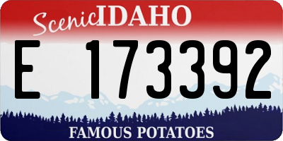 ID license plate E173392