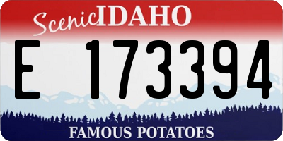 ID license plate E173394
