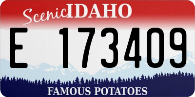 ID license plate E173409