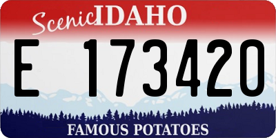 ID license plate E173420