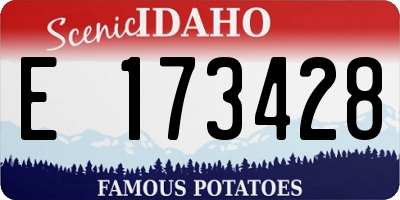 ID license plate E173428