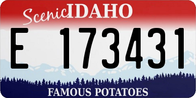 ID license plate E173431