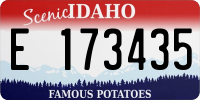 ID license plate E173435