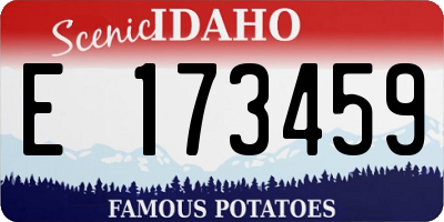 ID license plate E173459