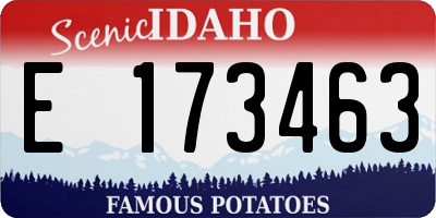 ID license plate E173463