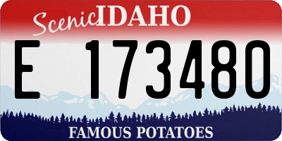 ID license plate E173480