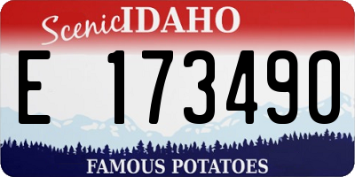 ID license plate E173490