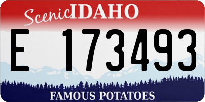 ID license plate E173493