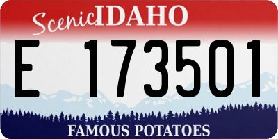 ID license plate E173501
