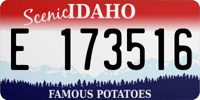 ID license plate E173516