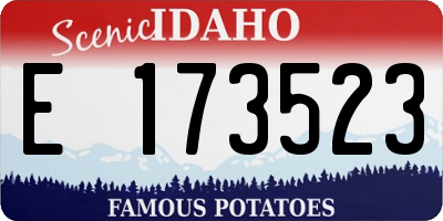 ID license plate E173523