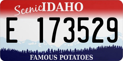 ID license plate E173529