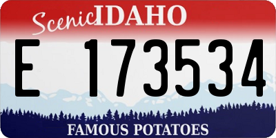 ID license plate E173534