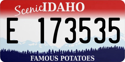 ID license plate E173535