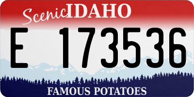 ID license plate E173536