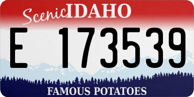 ID license plate E173539