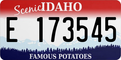 ID license plate E173545