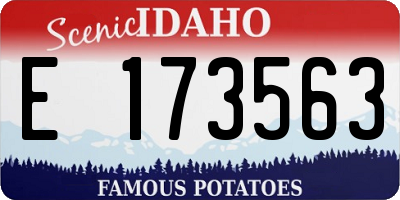 ID license plate E173563