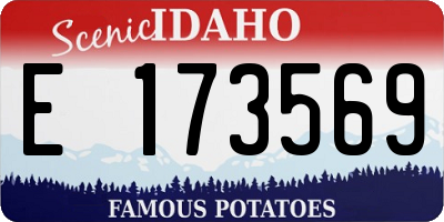ID license plate E173569
