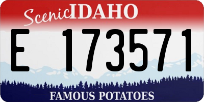 ID license plate E173571