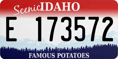 ID license plate E173572